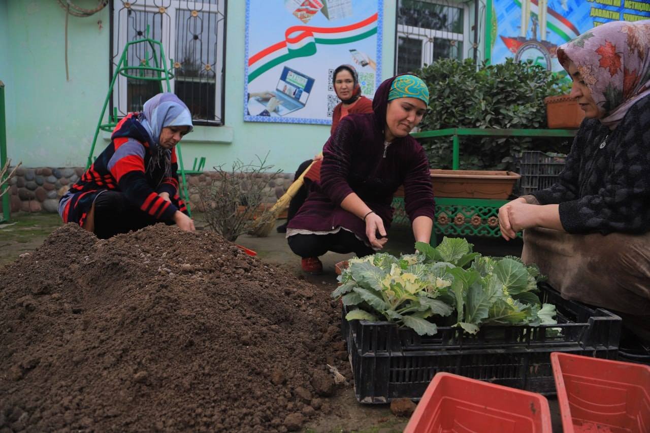 Кормандони рӯзномаи "Хатлон" ҳашари экологӣ гузарониданд