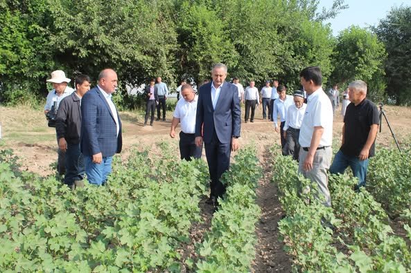 Ҷ. БАЛХӢ: БОЗДИДИ РАИСИ ВИЛОЯТ АЗ ҶАРАЁНИ ҶАМЪОВАРИИ ҲОСИЛ ВА КОРҲОИ СОЗАНДАГӢ