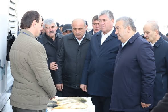 ФЕСТИВАЛ - НАМОИШ ВА ФУРӮШИ ЧОРВОИ ЗОТӢ