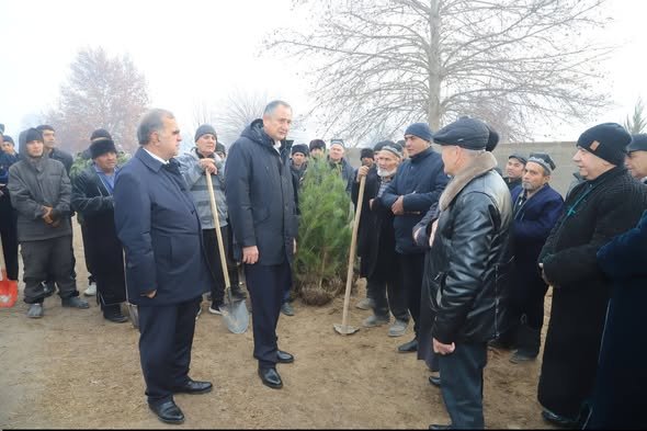 БОЗДИДИ РАИСИ ВИЛОЯТИ ХАТЛОН АЗ КИШТИ КАРТОШКА ВА ИШТИРОК ДАР МАЪРАКАИ НИҲОЛШИНОНӢ ДАР НОҲИЯИ ҚУБОДИЁН