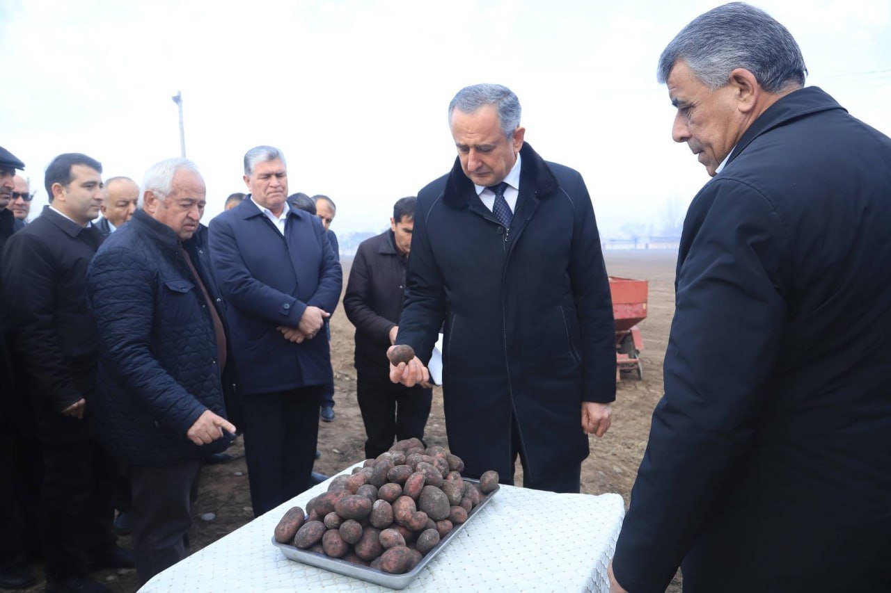 ИШТИРОКИ РАИСИ ВИЛОЯТИ ХАТЛОН ДАР МАЪРАКАИ КИШТИ КАРТОШКА ДАР ХОҶАГИИ ДЕҲҚОНИИ «ҚУРБОНАЛӢ»