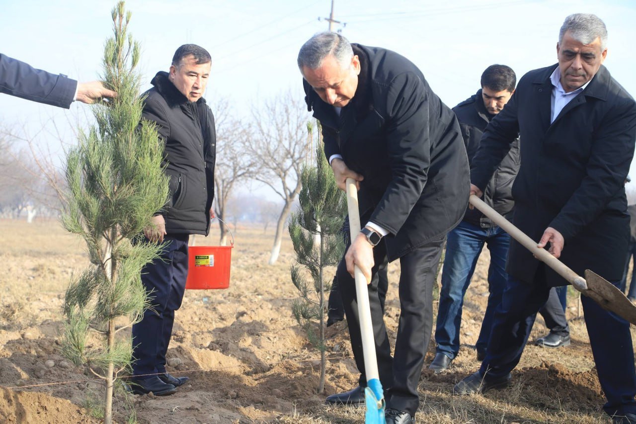 ИШТИРОКИ РАИСИ ВИЛОЯТ ДАР МАЪРАКАИ НИҲОЛШИНОНӢ ДАР НОҲИЯИ КӮШОНИЁН