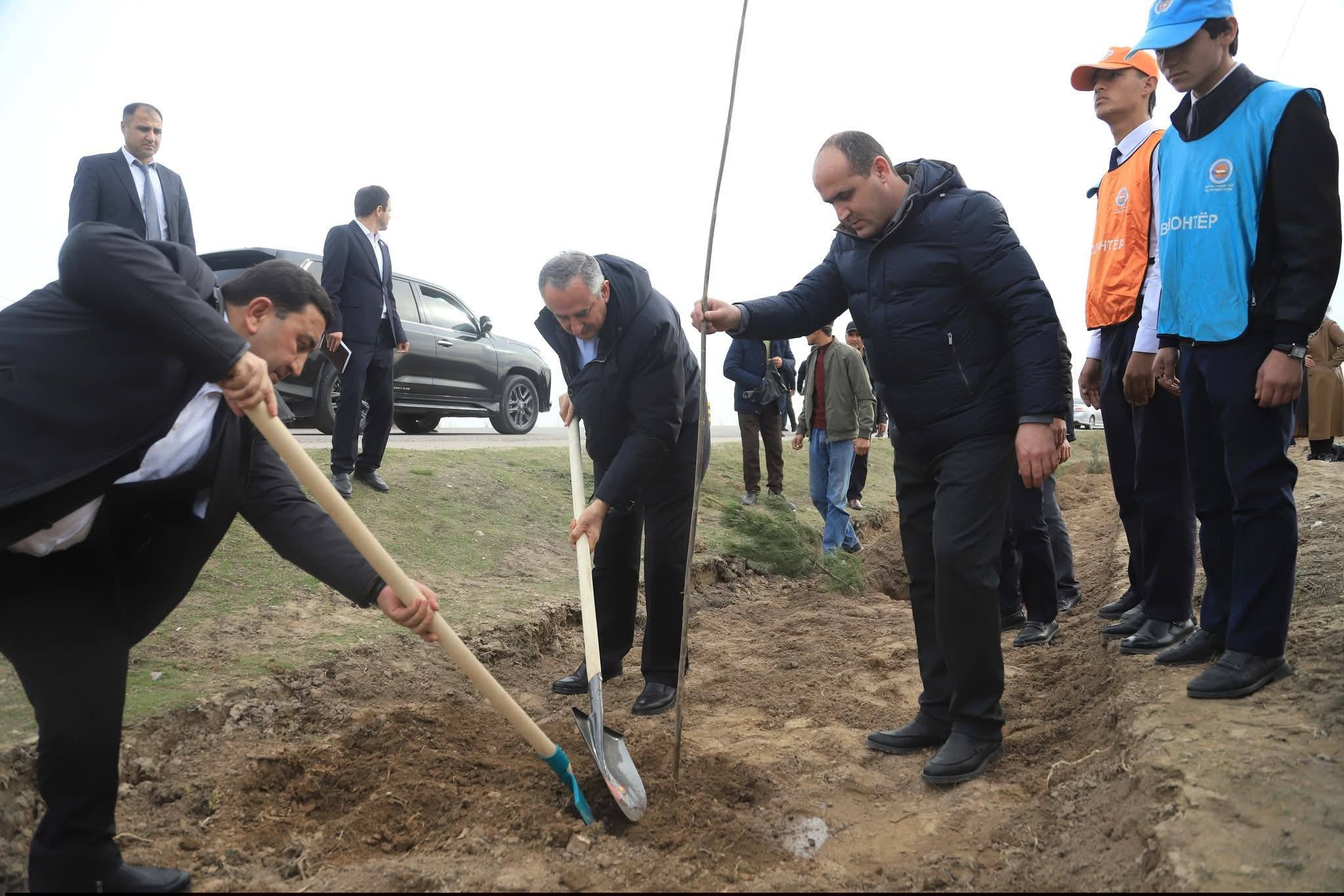 Сабзгардонии шоҳроҳи Панҷи Поён