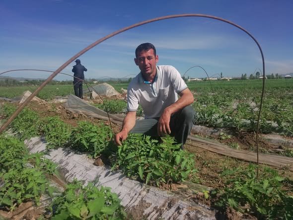 НАФЪИ ГАРМХОНАҲО БА РУШДИ КИШОВАРЗӢ ВА ТАЪМИНИ БОЗОР БО МАҲСУЛОТИ ВАТАНӢ