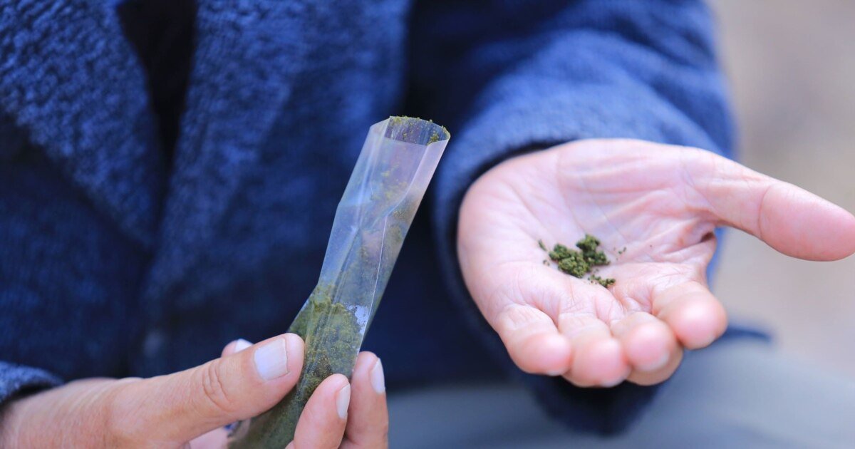 НОС Ё САЛОМАТӢ?