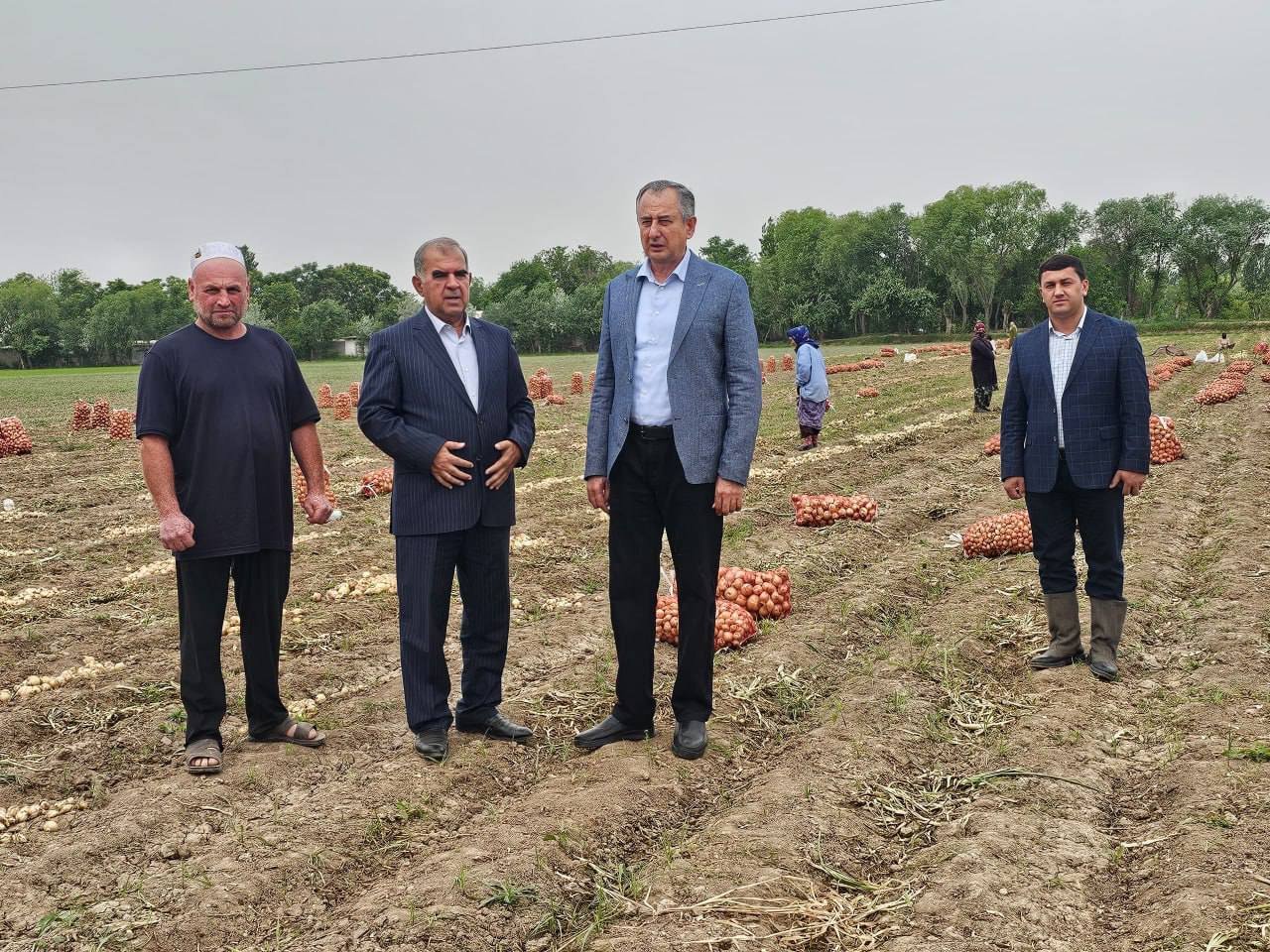 БОЗДИДИ РАИСИ ВИЛОЯТ АЗ ҶАМЪОВАРИИ ҲОСИЛИ ПИЁЗИ БАРВАҚТӢ